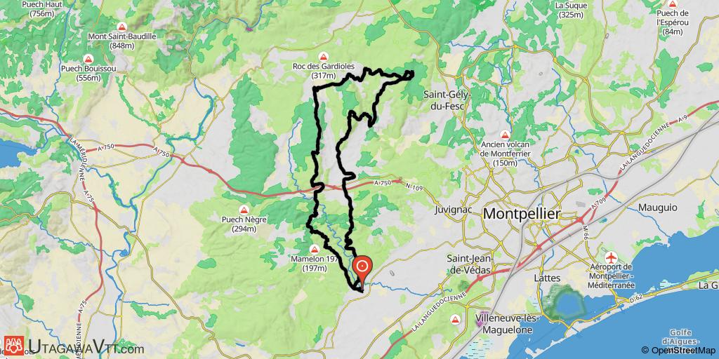 Au nord de Cournonterral