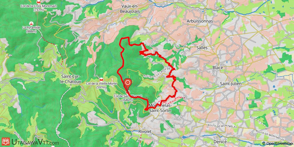 Forêts et vignes dans le Beaujolais