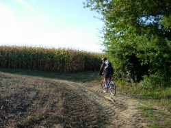 Chemin Après Sacriste