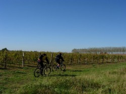 Après l’ancien Bourg
