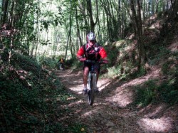 3km très ludique en sous bois
