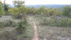 VTT-11643