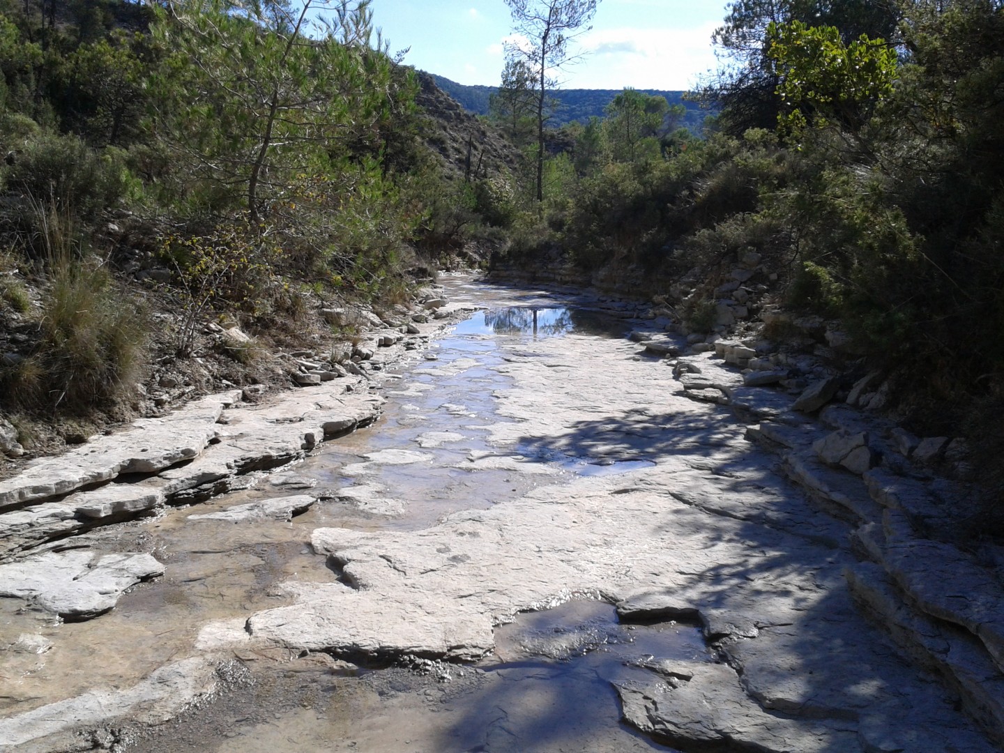 Pompignan : canyons, forêts, causse, ruisseaux et garrigue - Version noire