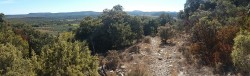 Descente du Bois des Costes/Coutach