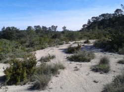 Navigation au cap