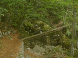 Après la descente du col et avant l'arrivée à Lovettaz, un sympathique pont très étroit