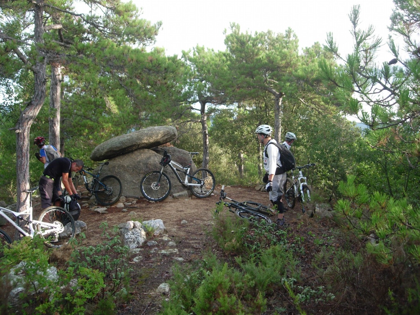 Les flancs du Canigou