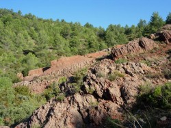 La plaine avec les vignes de Tournissan