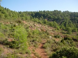 km8 combe des Crémades