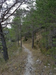 single longue descente sur Baumugne 