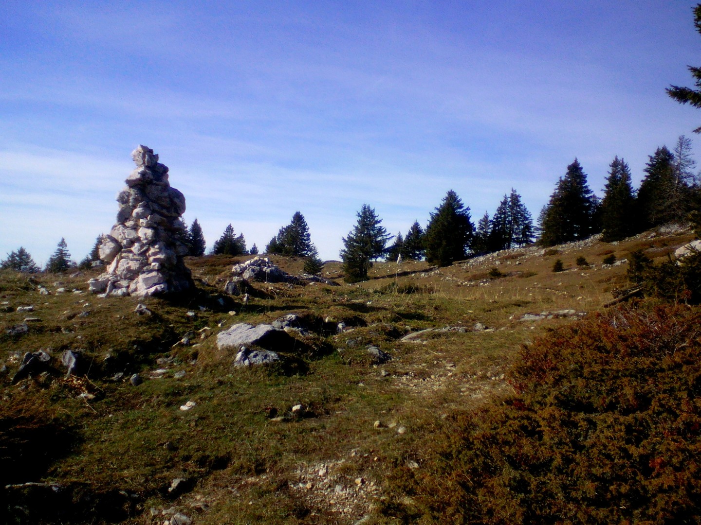 Chalet de l'Anglettaz