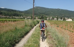VTT-11516