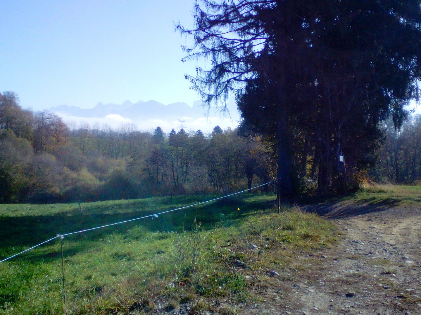 La bleue d'Evires