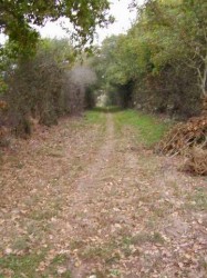 Encore un sentier désert