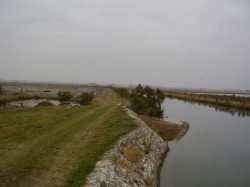 Piste dans les marais