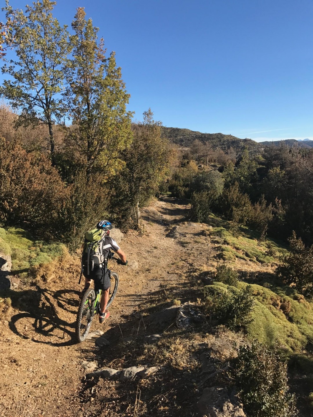 Le beau tour fauve (Matidero - Nocito)