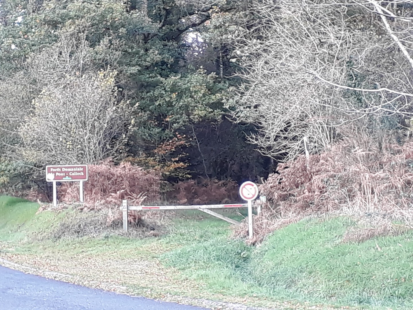 Tour de la forêt de Pont Kalleg