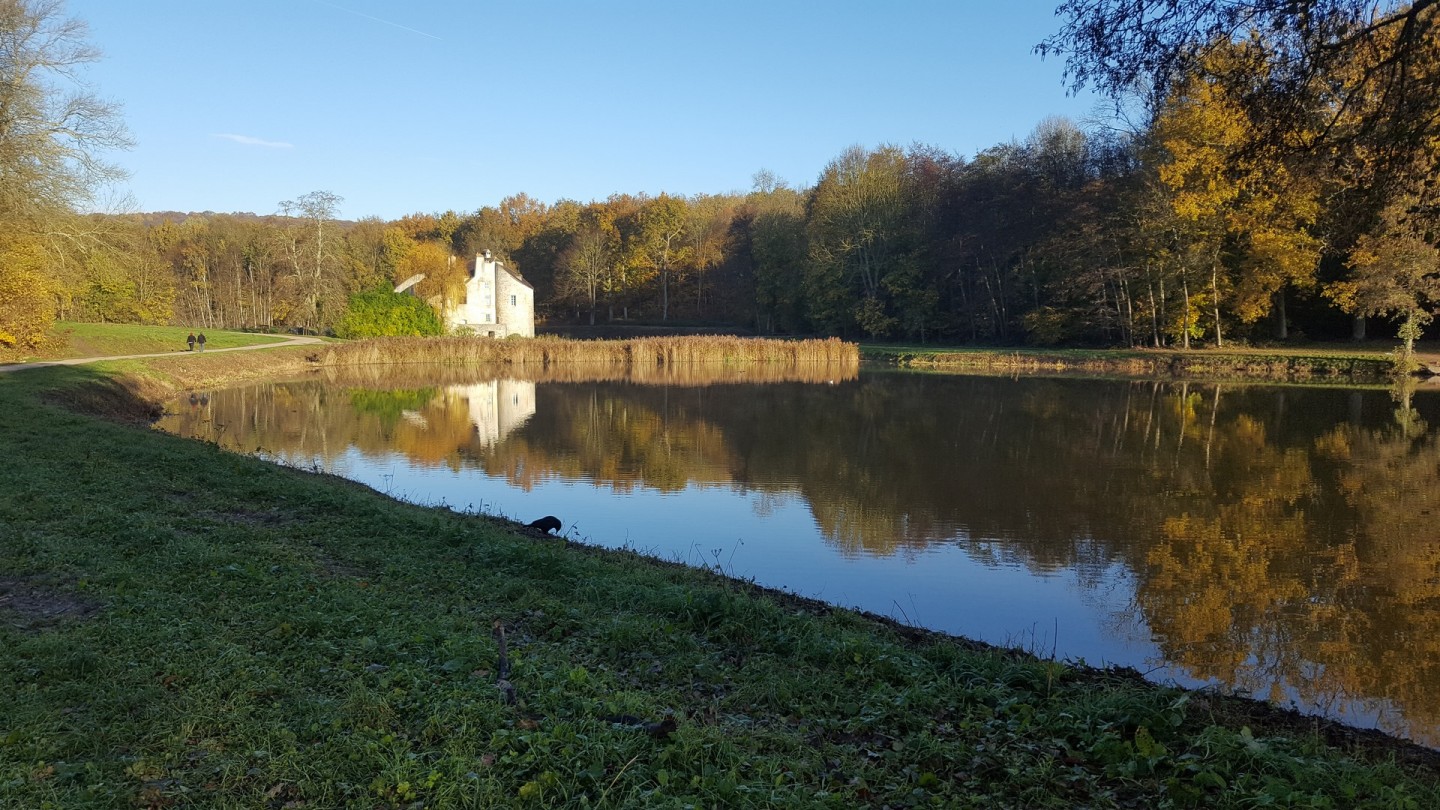 Belle boucle en forêt de Montmorency