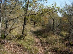 Km15 single vers Martignes