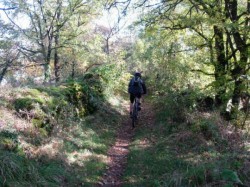 Km8 toujours le chemin de St Jacques Compostelle au Mas de Capus