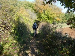 GR65 à Combes-Salgues