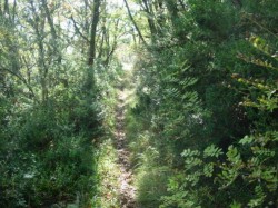 Le sentier descend au château