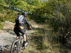 Km29 excellent single sauvage