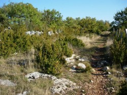 Km38 single au clou de Labau
