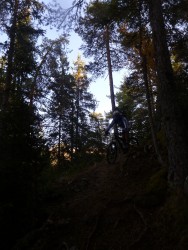 les épingles de la Pinéa