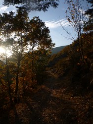 entre col de sinne et lieuche