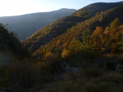 entre col de sinne et lieuche bis