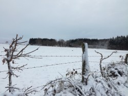 Campagne Morvandelle