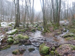 Passage à gué