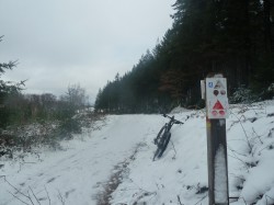 VTT-11780