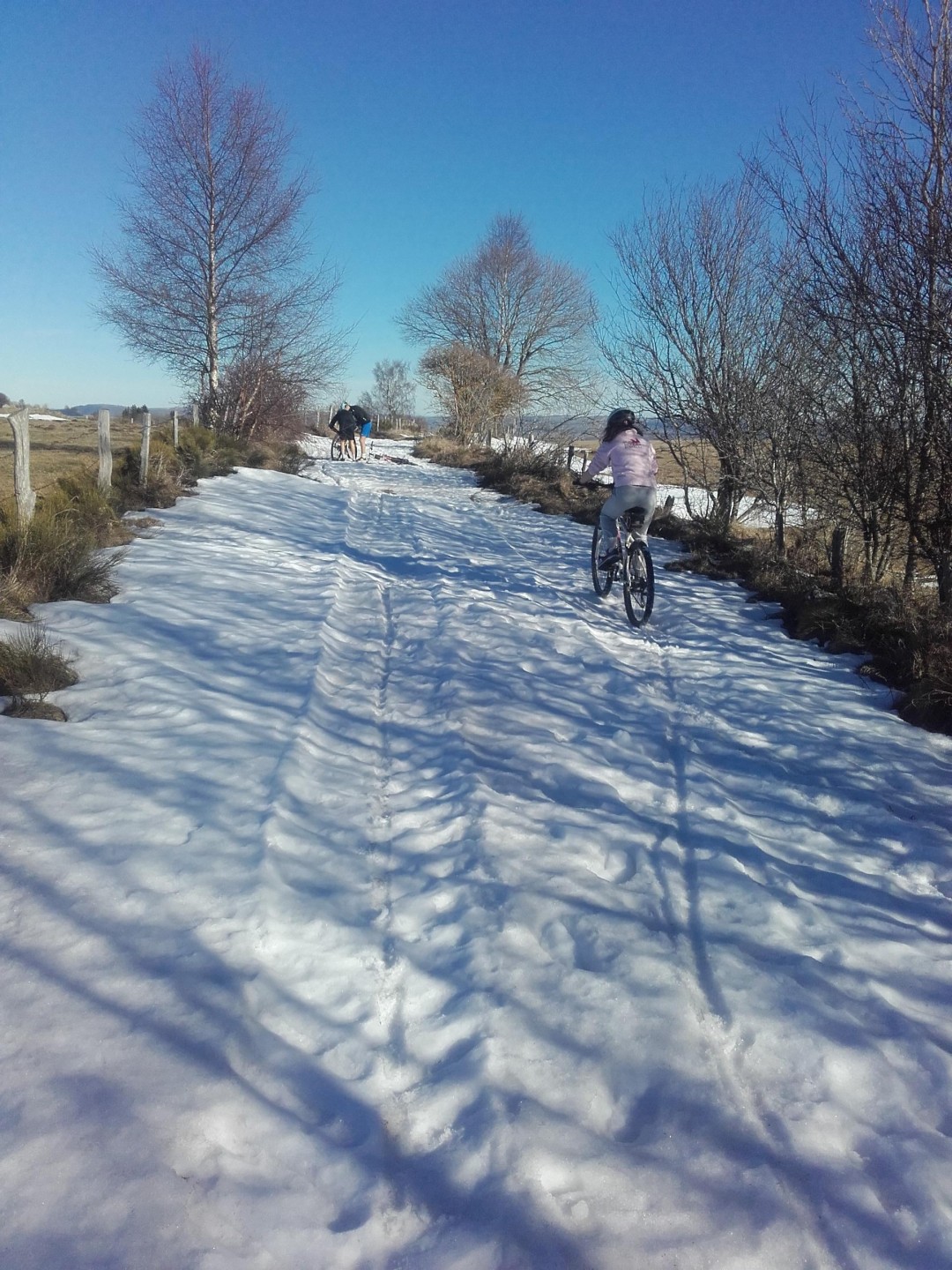 La Fageole : Hivernale