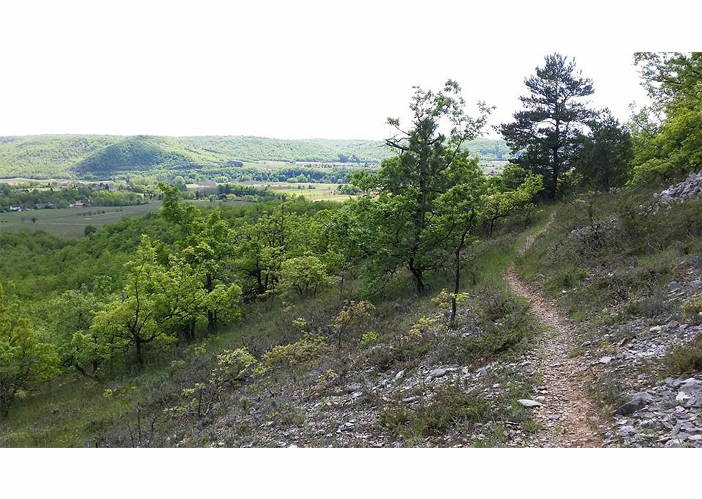 All mountain & enduro à Mercuès - Boucle n°2