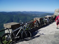 VTT-11815
