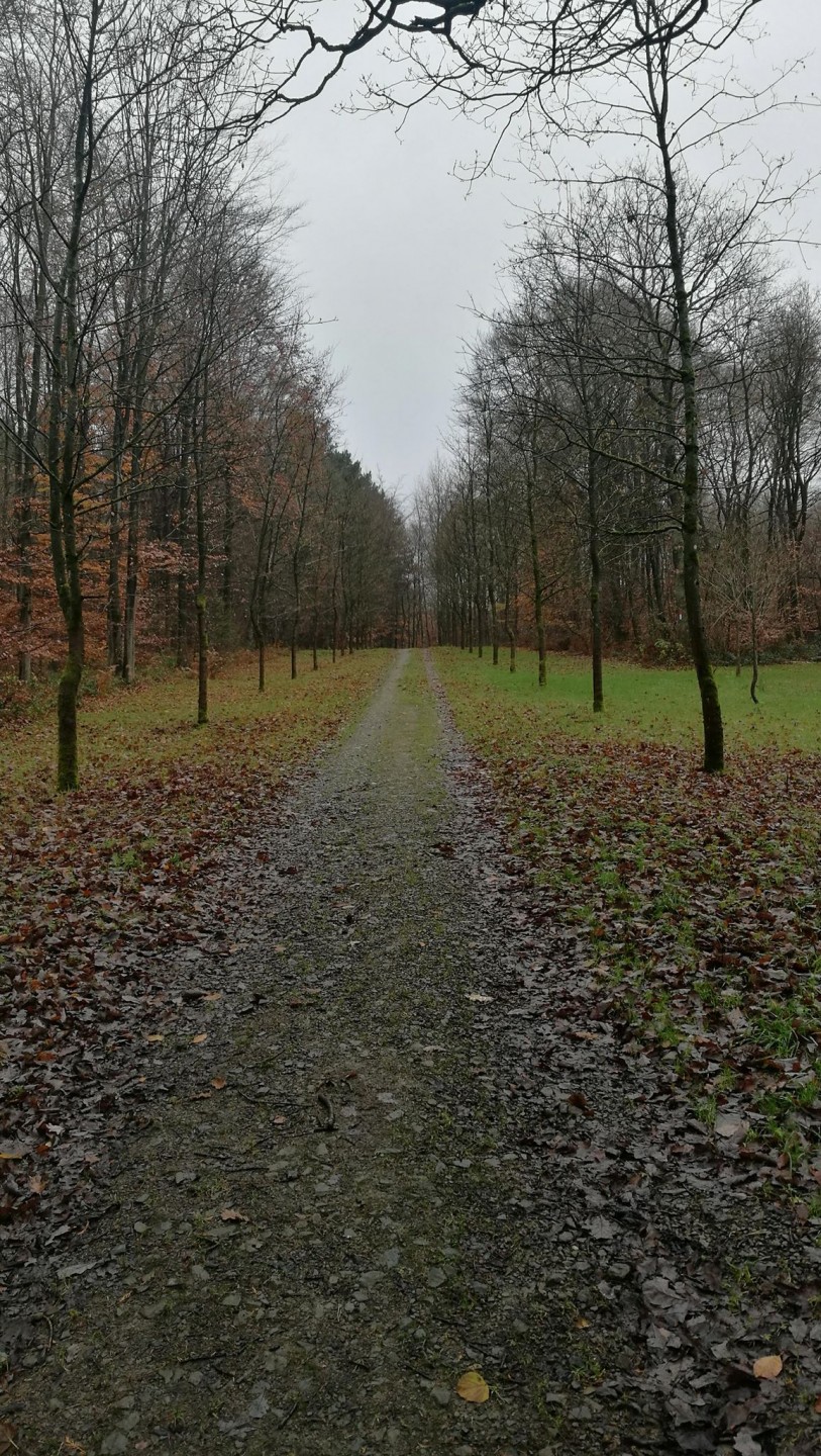 Autour d'Esneux