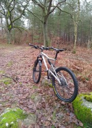 VTT-11892