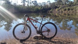 VTT-11900