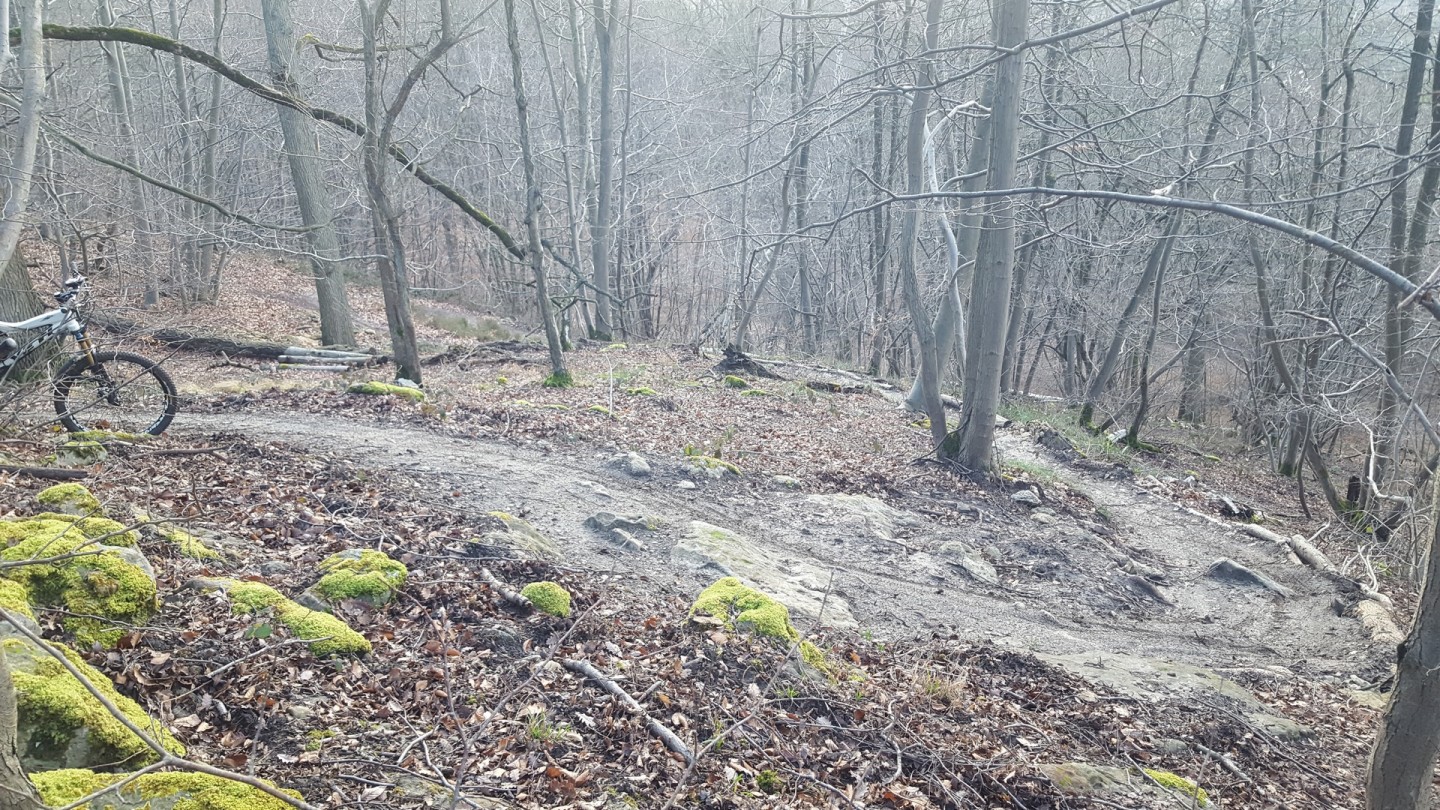 Superbe boucle ludique et technique en forêt de Coye