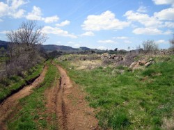 Chemin au départ du Puy en Velay