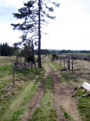 Plateau de l'Aubrac