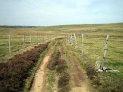 Plateau de l'Aubrac