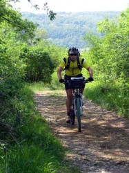 Chemin roulant