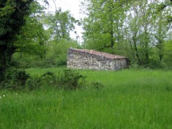 Champ sur les bords de la voie Romaine (Cami Ferrat) après Varaire