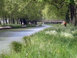 Canal de la Garonne