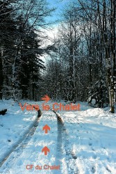 VTT-11998