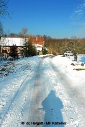 VTT-12006