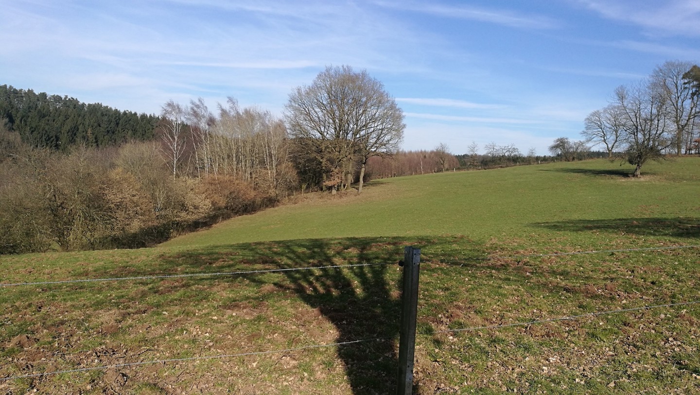La bataille des Ardennes